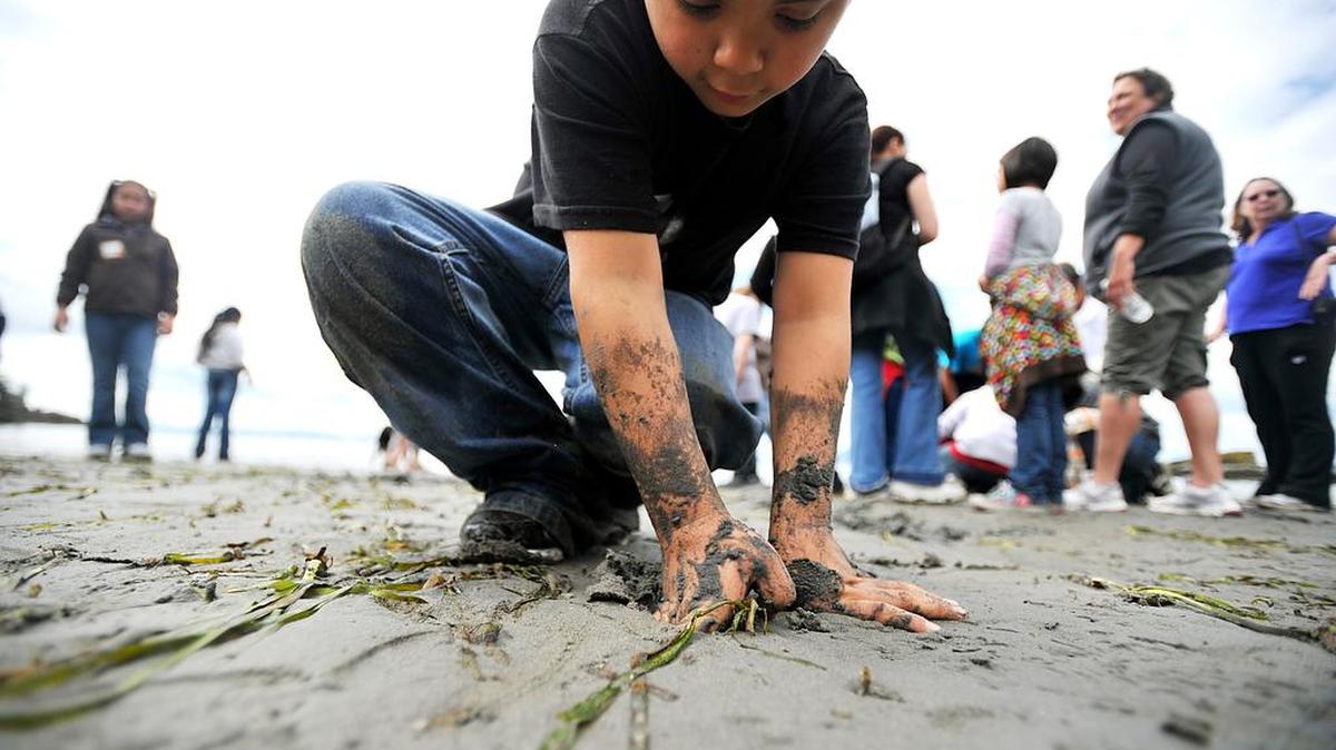 Students from a Mount Vernon elementary school investigate marine life during the lowest daytime low tide of the year at Larrabee State Park in 2011.