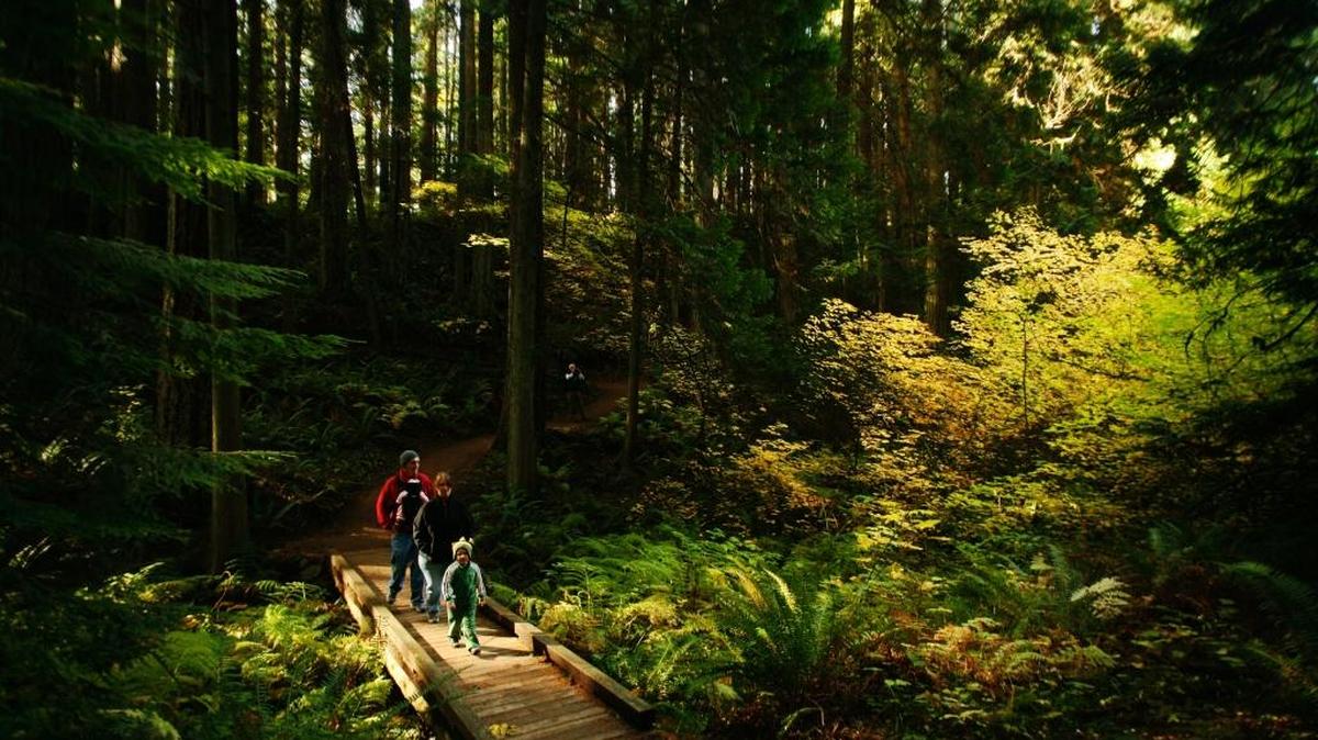 Hikers along the trail at the Stimpson Family Nature Reserve.