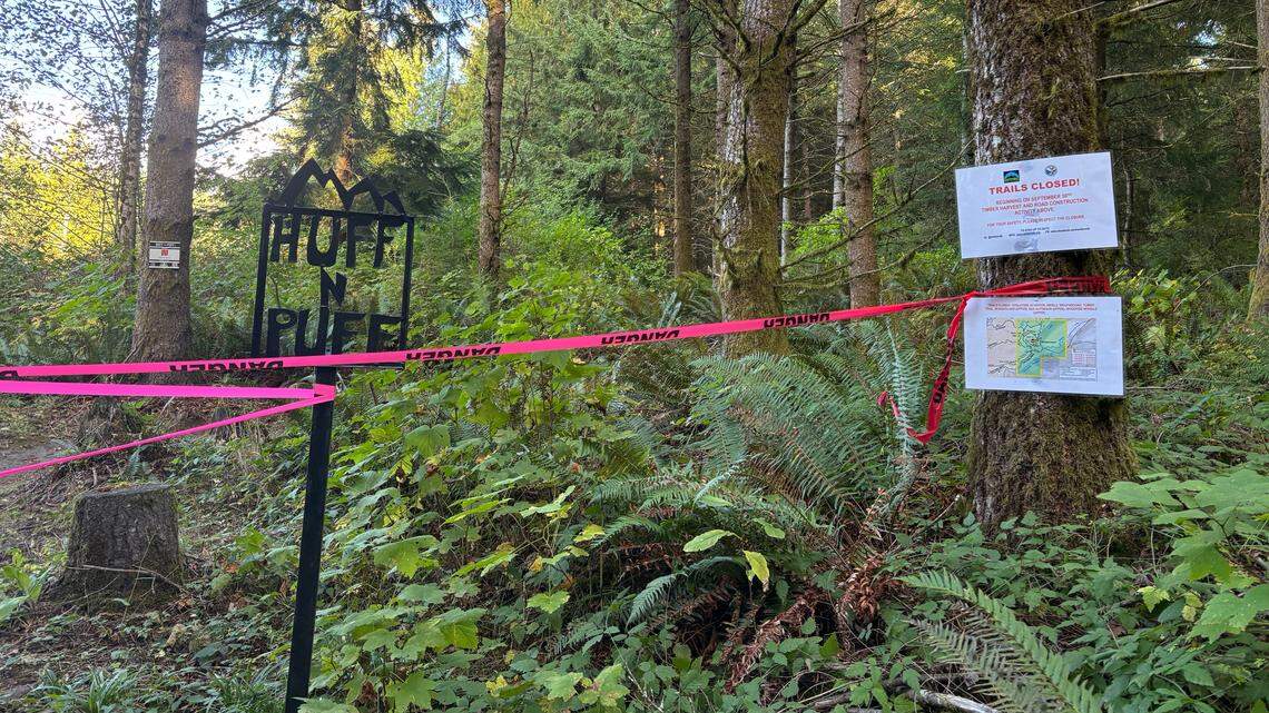 Several Galbraith Mountain biking trails closed for timber project road building