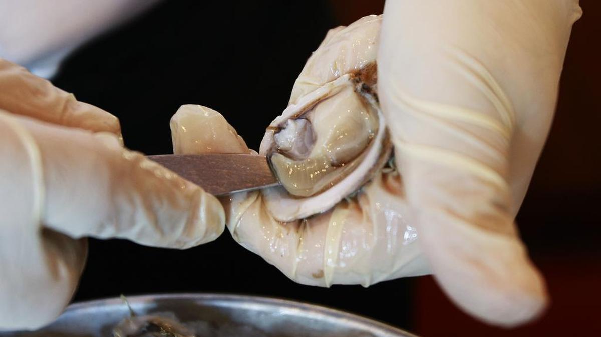 A Pacific oyster is shucked June 18, 2010, at Elliott Oyster House in Seattle.