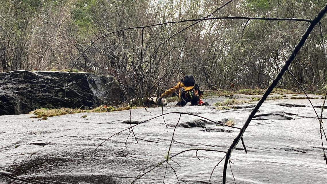 A Pyrenees mix named Yuki ended up trapped on a ledge Feb. 29 near the Pacific Northwest Trail in Whatcom County, Washington, a nonprofit said.