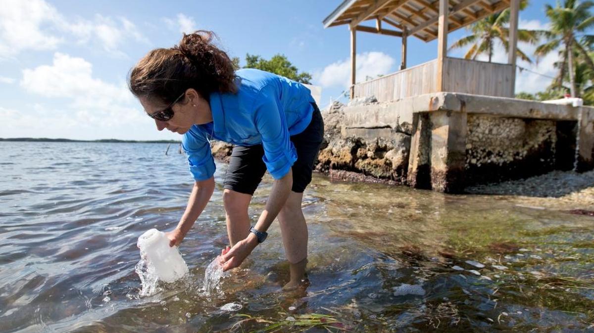 In this, Tuesday, Feb. 7, 2017 photo, Sarah Egner, director of curriculum development at Marinelab in Key Largo, Fla., takes a water sample to check for the presence of microscopic plastics in the water. Gulf Coast researchers are preparing to launch a two-year study to see what kinds of microscopic plastics can be found in the waters from south Texas to the Florida Keys. The project will expand a year's worth of data collected around the state of Florida that predominantly found microfibers, shreds of plastic even smaller than the microbeads targeted by a federal ban. 