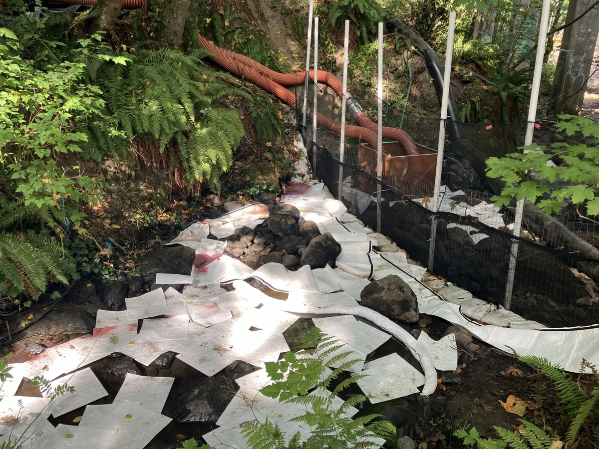Absorbent pads and booms are in place to help contain a diesel spill at Padden Creek on Aug. 5.