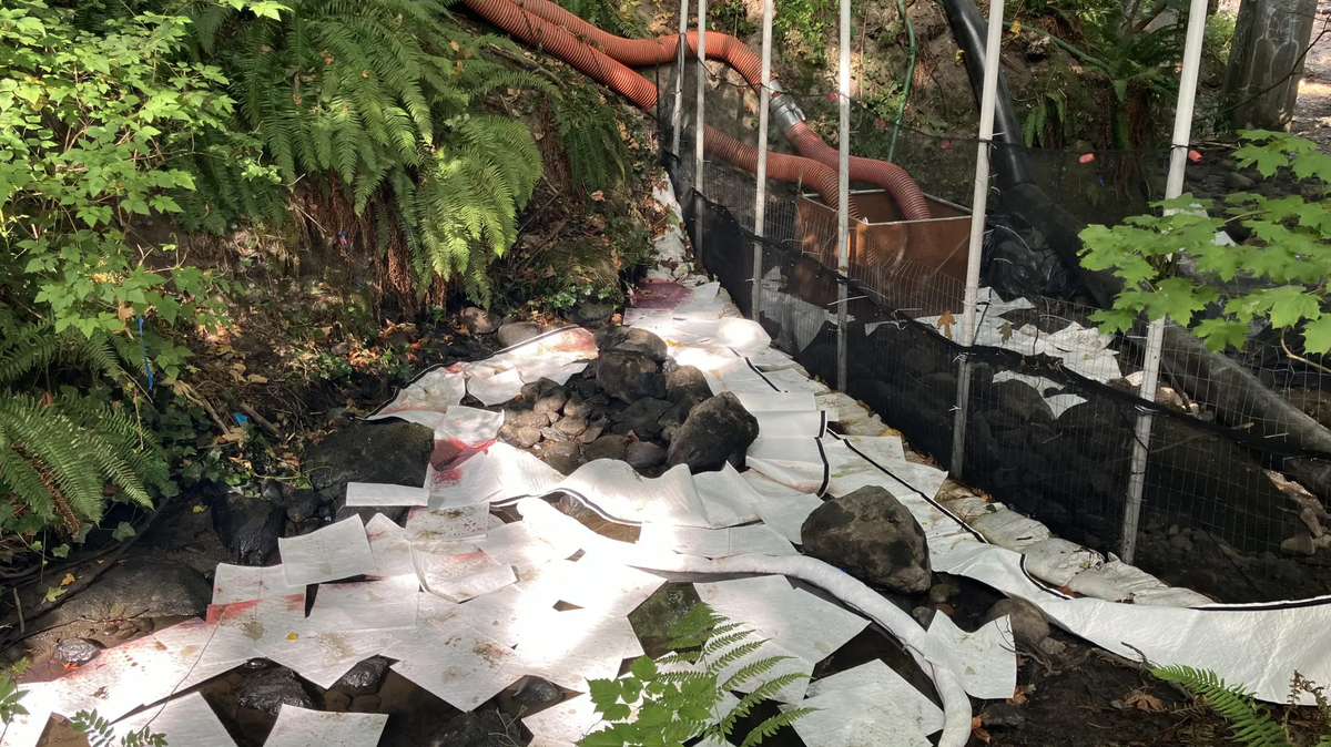 Absorbent pads and booms are in place to help contain a diesel spill at Padden Creek.
