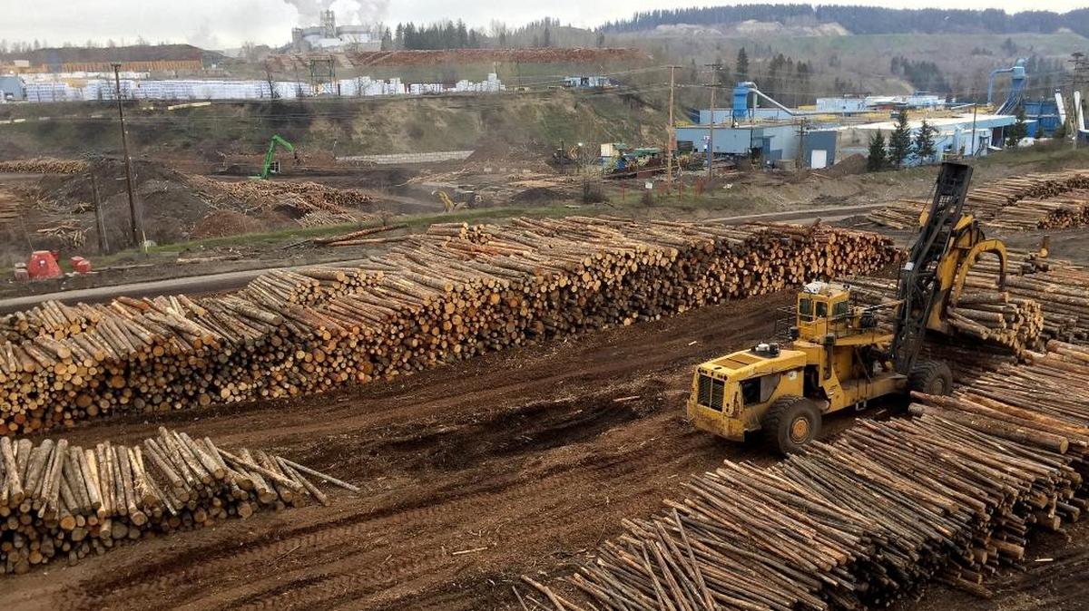 Logs are stacked this week at the West Fraser sawmill in Quesnel, B.C. The Trump administration's new tariffs on Canadian lumber pose a threat to livelihoods in Quesnel, which is so reliant on trade with the United States that it flies a U.S. flag at its visitors center.