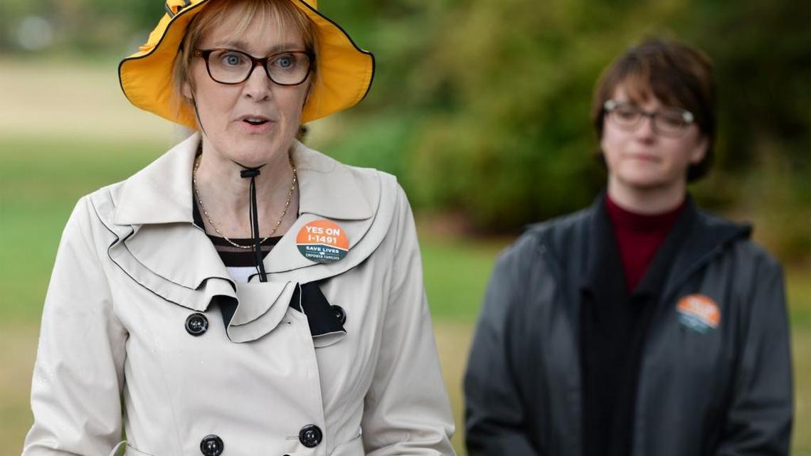 Marilyn Balcerak, left, whose son shot and killed his sister and himself, speaks while Liz Hjelmsworth of Bellingham listens at a news conference in support of Initiative 1491, sponsored by the Alliance for Gun Responsibility, at Broadway Park in Bellingham on Monday, Sept. 19, 2016.