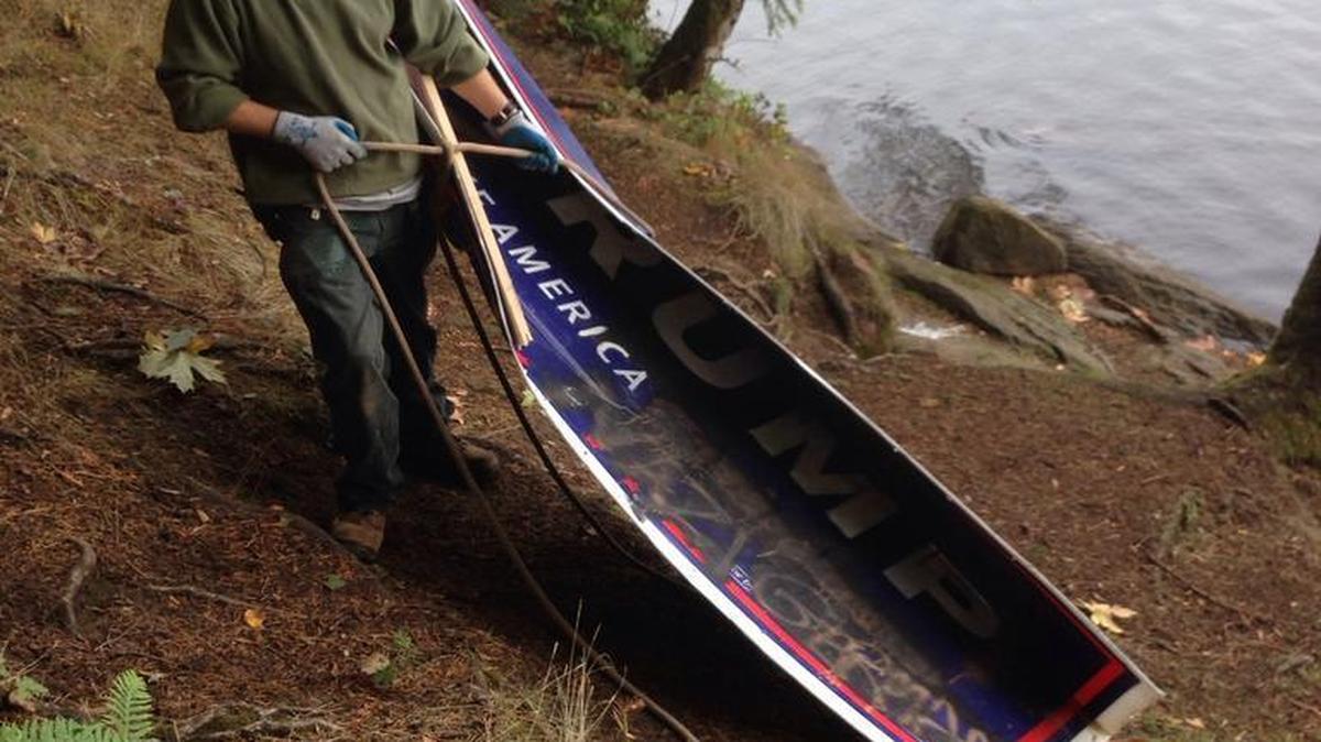 David Wagner, with Bellingham Parks and Recreation Department, removes a Trump presidential campaign sign that was mounted at least 30 feet up on a Douglas fir at Lake Padden Park. Political signs aren’t allowed on public property. Wagner took down the sign on Wednesday, Oct. 19, 2016.