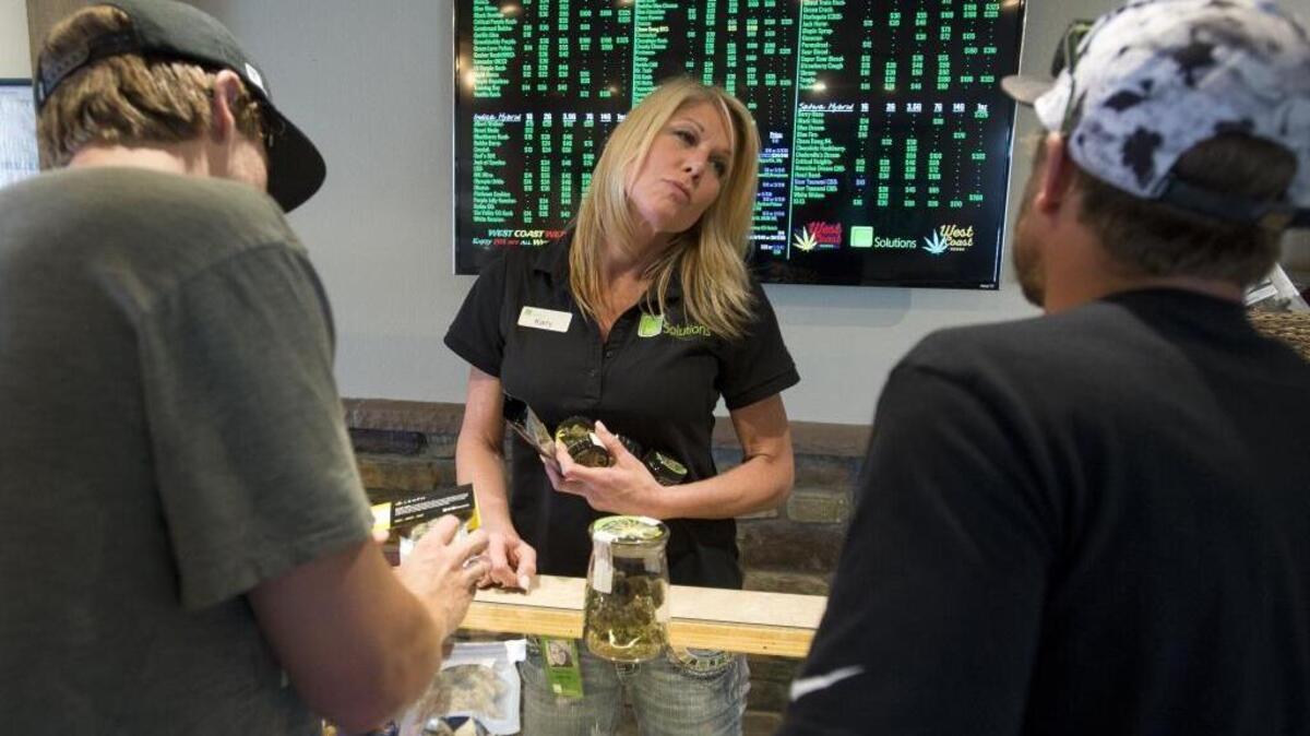 Karry Johnson, manager of 2020 Solutions on Iron Street, shows customers a variety of marijuana flowers on Wednesday, July 6, 2016 in Bellingham. 2020 Solution is the top seller in Whatcom County, according to 502data.com.