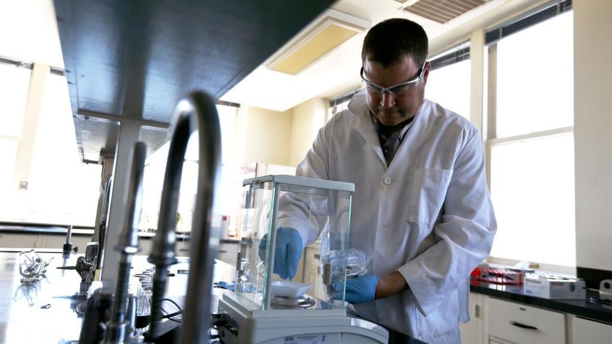 FILE--In this June 4, 2014, file photo, chief scientist for Analytical 360, Randall Oliver, scales out a sample of marijuana at their new cannabis analysis laboratory in Yakima, Wash. Washington state has agreed to begin more regular testing for banned pesticides in marijuana. The testing is expected to begin early next year and will examine marijuana where regulators have reason to suspect illegal pesticides have been used.