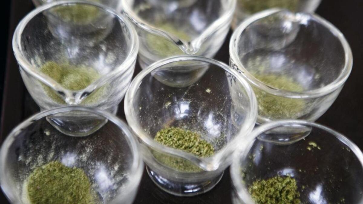 Ground-up marijuana flowers await potency testing at Analytical 360 in Yakima, Wash. on Jan. 16, 2015. Another testing laboratory, Peak Analytics in Bellingham, had its certification suspended in July 2017 by the Washington Liquor and Cannabis Board after auditors questioned some deficiencies in lab practices.