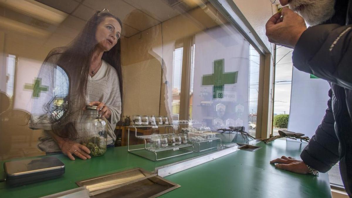 A patient examines some marijuana Tuesday in The Green Tiki Cannabis Company in Tacoma as owner/operator Christy Stanley waits. The establishment is a collective garden for medical marijuana and Stanley has applied for a recreational license.