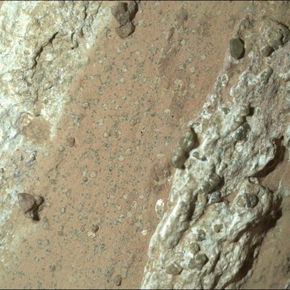 NASA’s Perseverance rover captured this image of a rock nicknamed “Cheyava Falls” on July 18, 2024. Running the length of the rock are large white calcium sulfate veins. Between those veins are bands of material whose reddish color suggests the presence of hematite, one of the minerals that gives Mars its distinctive rusty hue. Scientists are particularly interested in the millimeter-size, irregularly shaped light patches on the central reddish band (from lower left to upper right of the image) that are surrounded by a thin ring of dark material, akin to leopard spots.