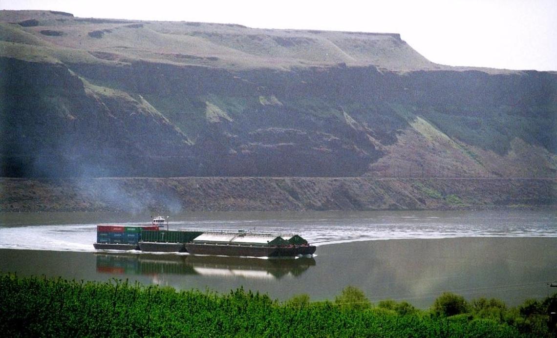 A barge makes it’s way up the Snake River north of Ice Harbor Dam near Page, Wash., in 1998.