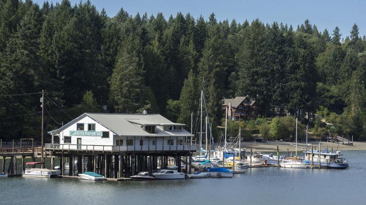 
According to reports, the suspect who fired shots at Lakebay Marina Resort is in custody.
