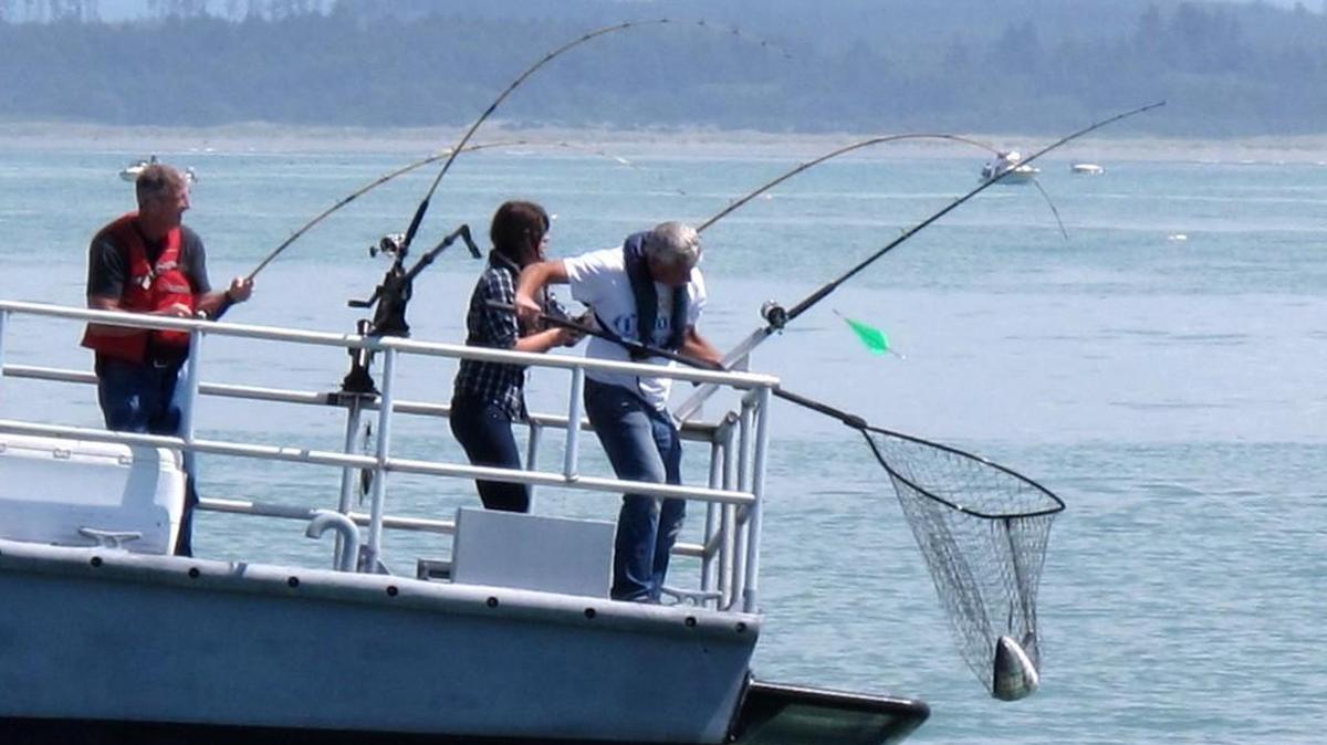 Anglers will be able to fish for a reduced number of chinook along Washington’s coast this year and will only be able to keep coho caught in the waters off the mouth of the Columbia River.