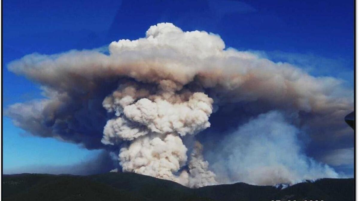Warmer and drier springs are contributing to more extreme fire events, such as the Tripod Complex fire of 2006, which was the largest in 50 years.
