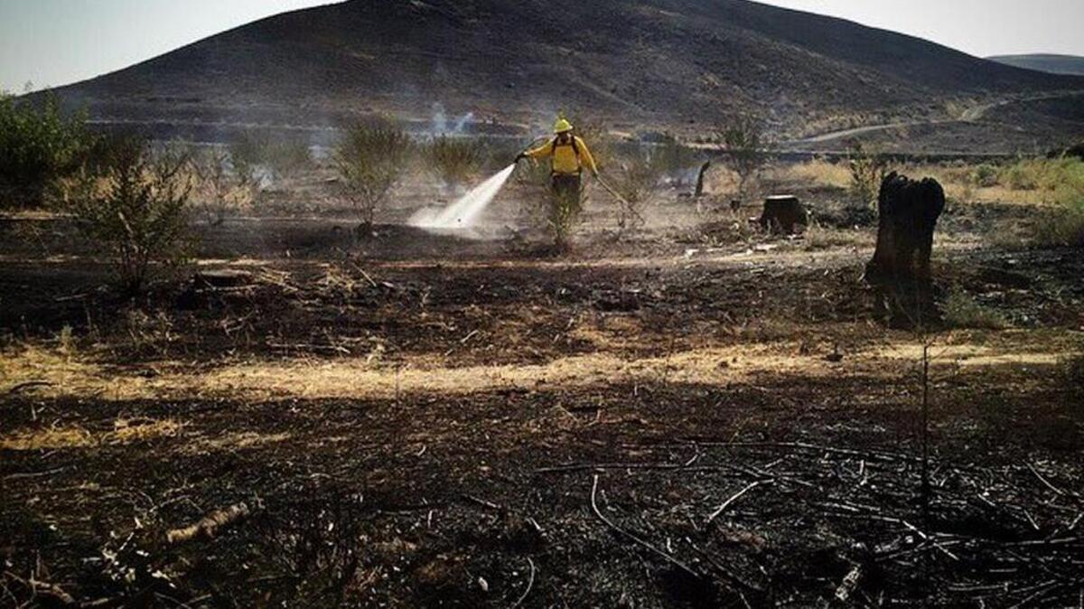 Crews were mopping up in Prosser where an overnight fire scorched up to 8,000 acres in the area of Richards Road.