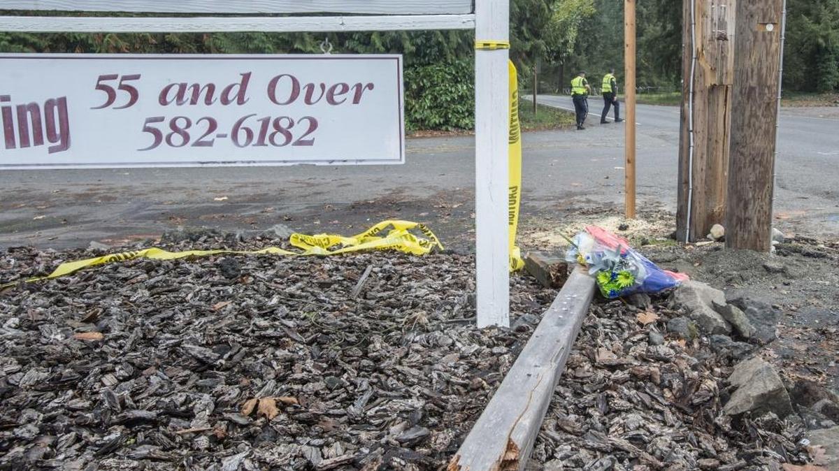 Bouquets of flowers form a small memorial Tuesday near a broken sign pole and a cracked utility pole at the scene of a fatal car accident on Veterans Drive on Monday night that killed 10-year-old Dylan Wilson. Wilson was riding in the backseat of a car driven by a 14-year-old friend, riding along with two other underage boys.