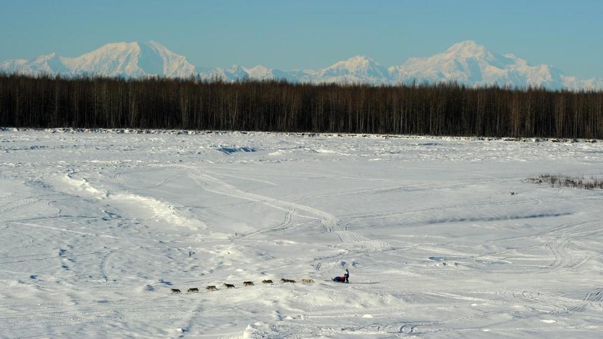 Mount Foraker, Mount Hunter and Mount McKinley from Willow, Alaska at the start of the Iditarod sled race. Researchers recently set up a camp at 13,000 feet atop Mount Hunter and drilled into the snow to extract lengthy cores of ice that provided a historical record of snowfall patterns going back more than 1,000 years.
