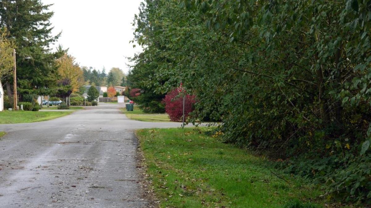 Rules about fences and shrubs obstructing the view of drivers at intersections are generally found in the zoning section of county and municipal codes.