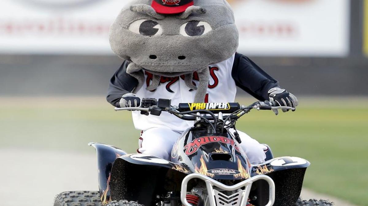 Carolina Mudcats mascot Muddy the Mudcat is perfectly within the law driving an ATV at Five County Stadium in Zebulon, N.C., on May 4, 2015. Driving an ATV on private property is fine, but they’re illegal on public roads in Whatcom County, except for farm vehicles in certain instances.