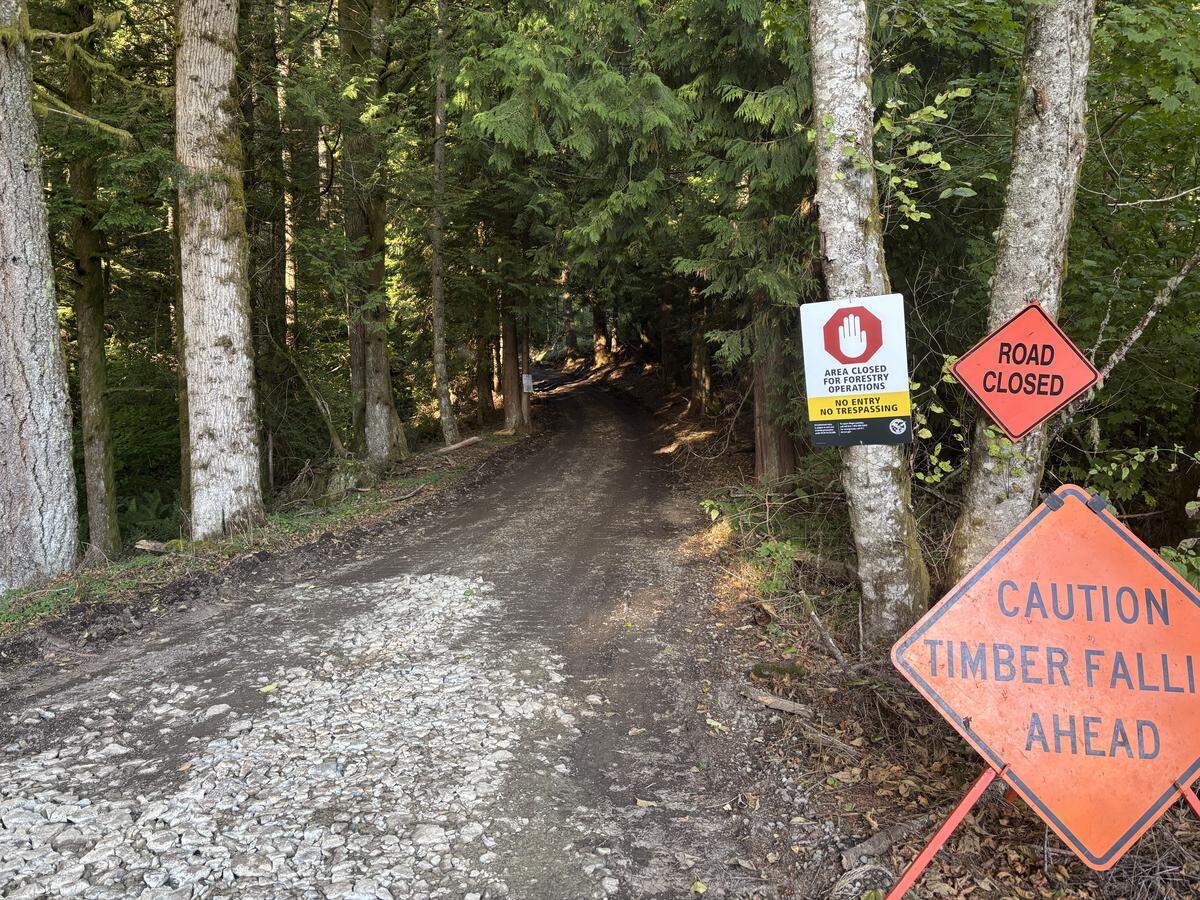 The road is closed to bikers and hikers Oct. 2, about two thirds of the way up Galbraith Mountain as roads are being built for logging projects.