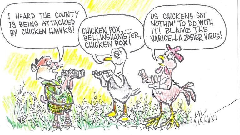 Rik Dalvit: A Varicella Attack