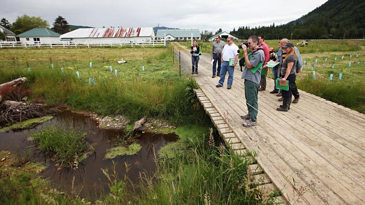 
Whatcom Conservation District tour in 2010 showcased the Conservation Reserve Enhancement Program that provides funds for improving fish and wildlife habitats, water quality and stream bank stability on private lands.
