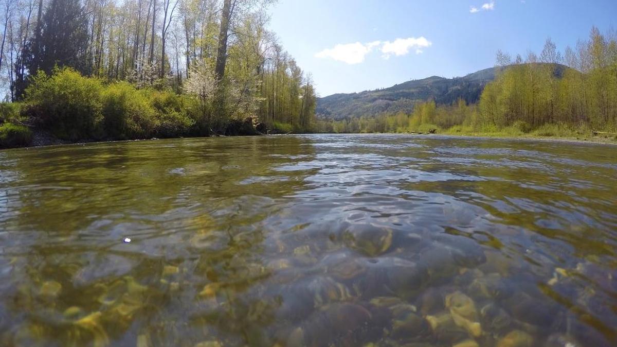 The Washington state Supreme Court recently ruled that Whatcom County must make sure there is enough available water in salmon-bearing streams such as the Nooksack, near Acme in 2015, before issuing permits for new developments in rural areas.