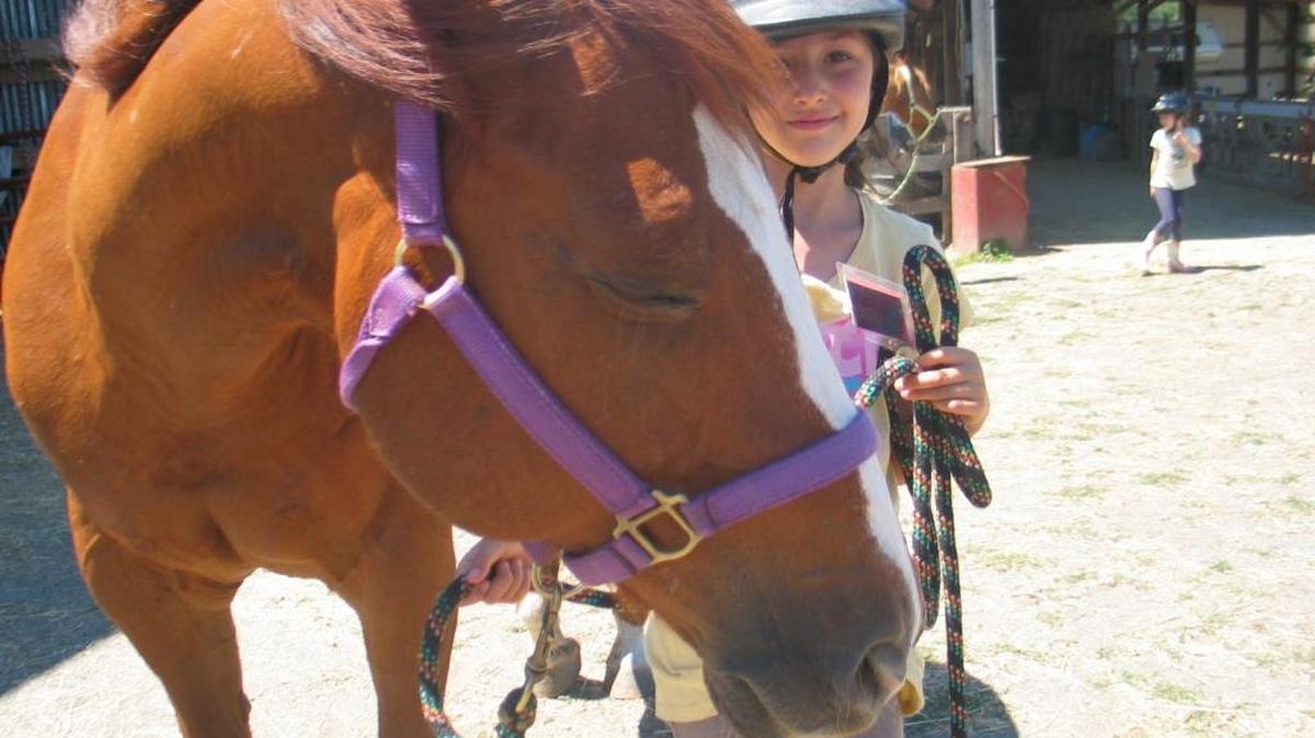 Sundance, an Animals as Natural Therapy horse, gets some love during Windy Acres Day Camp in July, 2015.