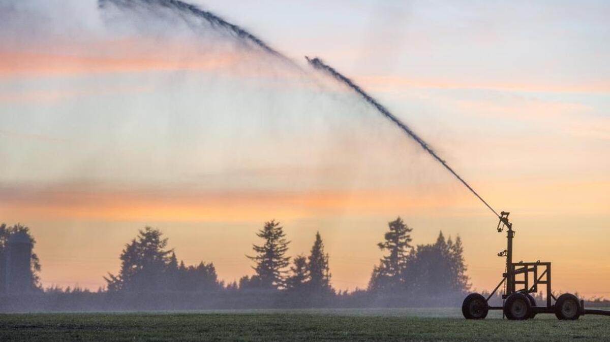 A field on Birch Bay-Lynden Road east of Lynden is watered in 2015. The Washington state Supreme Court decision in the Whatcom County vs. Hirst, Futurewise, et al. case has raised concerns about rural water availability.