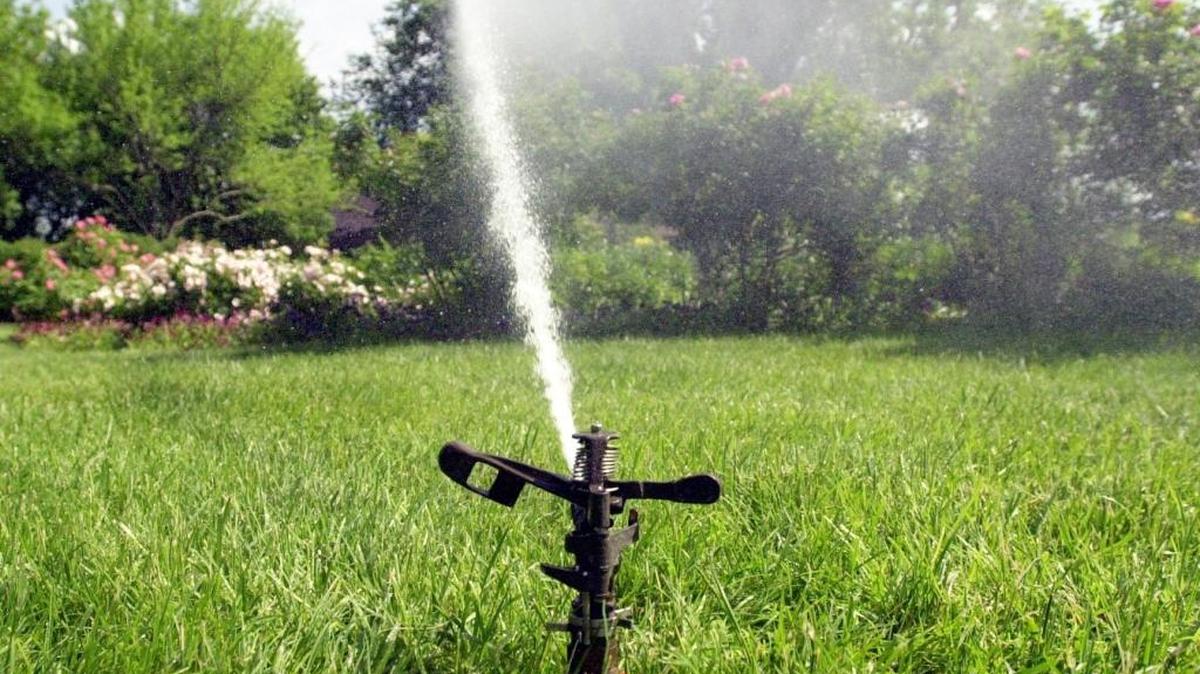 We can irrigate our lawns and gardens more efficiently by watering only in the early morning and not overwatering.