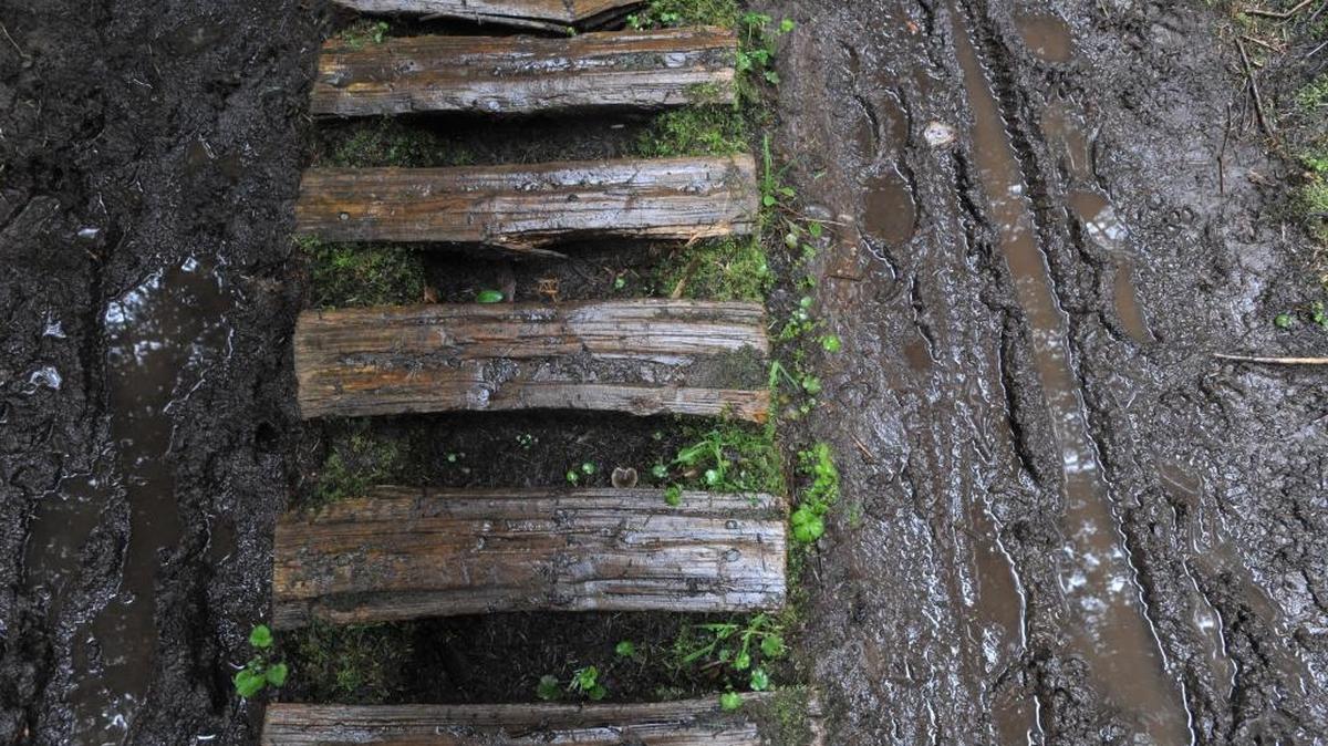 Mountain bikers and hikers are able to use the trails on Galbraith Mountain due to the collaboration of the landowner, the city of Bellingham, Whatcom County government and the Whatcom Land Trust.