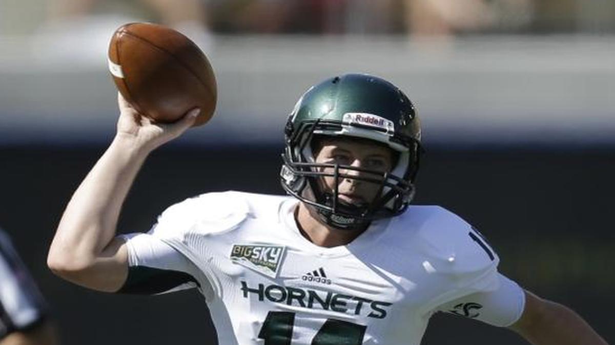 
Sacramento State quarterback Daniel Kniffin, seen here against California last season, was coached by the same coach as Washington quarterback Jake Browning. Browning and Kniffin will square off Saturday at Husky Stadium.
