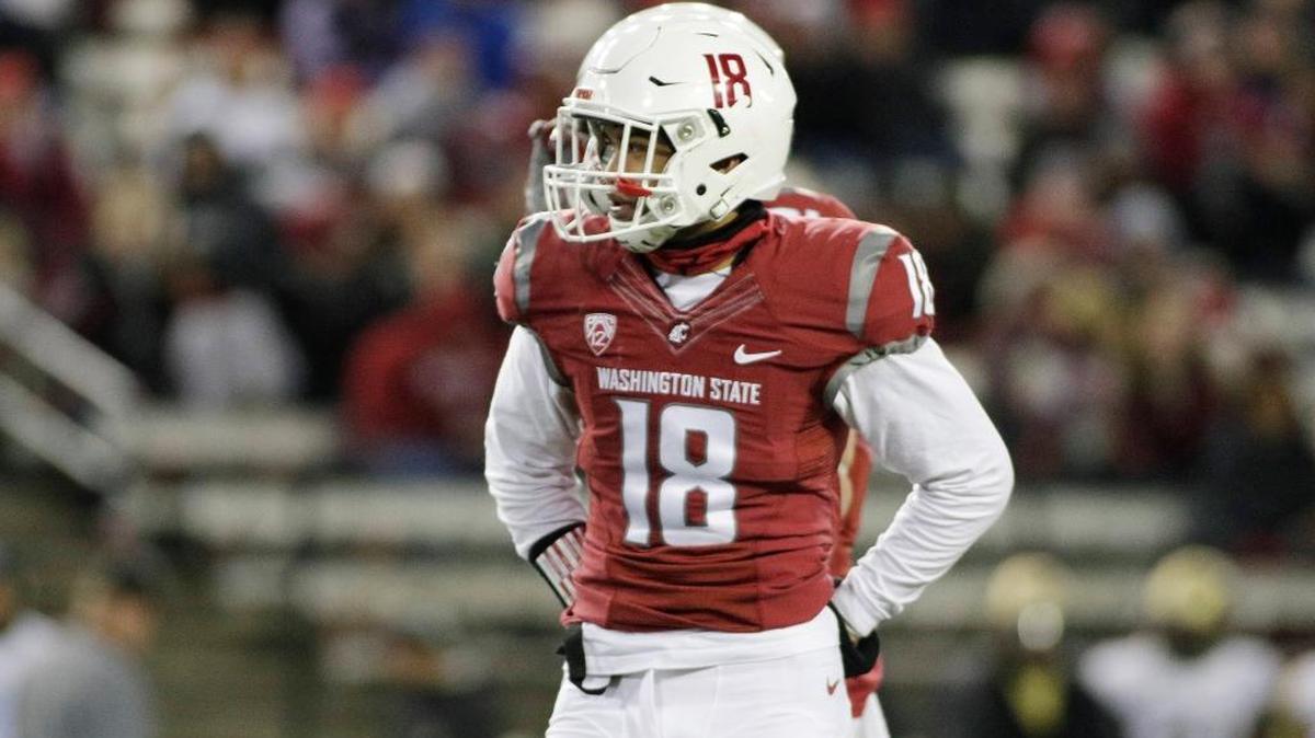 Washington State safety Shalom Luani a game, Saturday, Nov. 21, 2015, in Pullman, Wash. Luani, a senior starting defensive back for the Cougars, was arrested and charged with assault early Wednesday morning, August 25, 2016, for allegedly breaking a man’s nose.