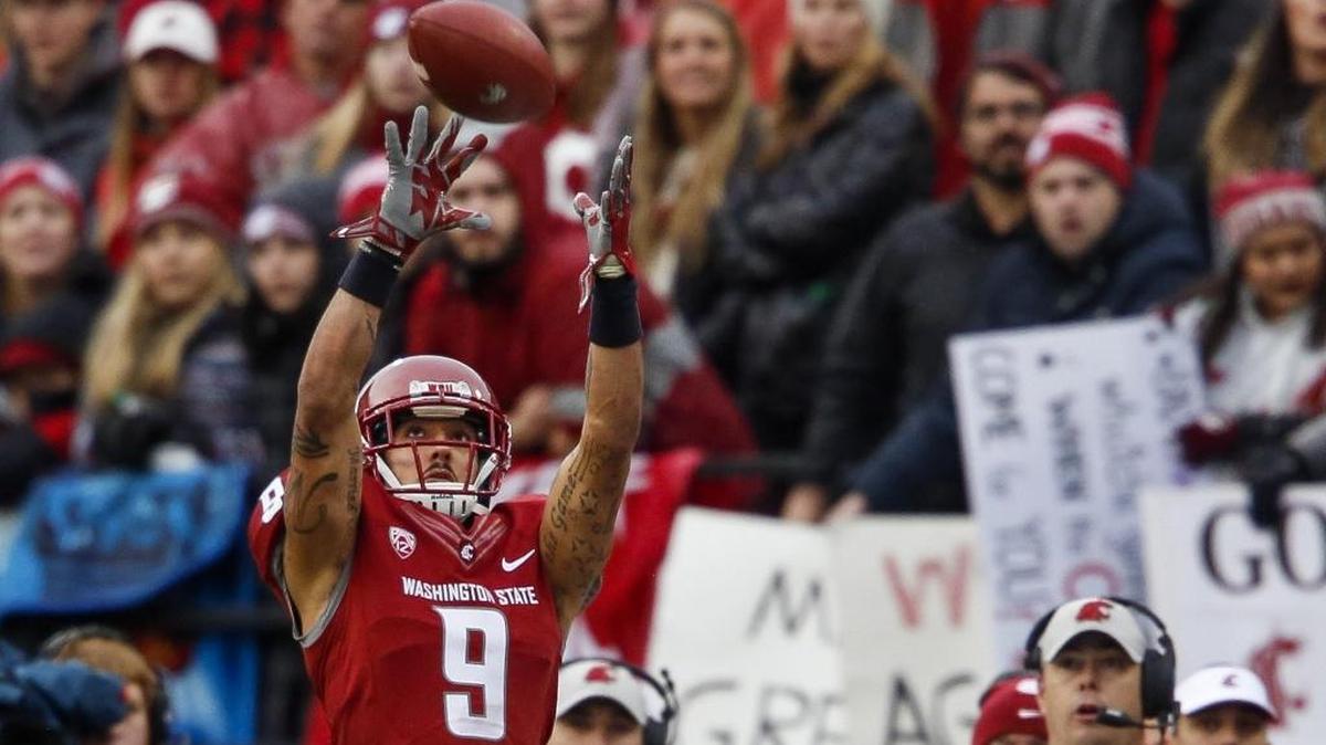 Washington State wide receiver Gabe Marks makes a leaping catch in the third quarter of the Apple Cup against Washington on Friday, Nov. 25, 2016 at Martin Stadium in Pullman, Wash.