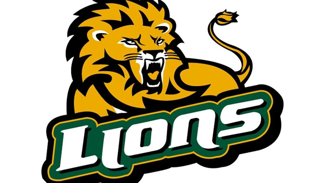 Young Lions softball team learns at state tournament