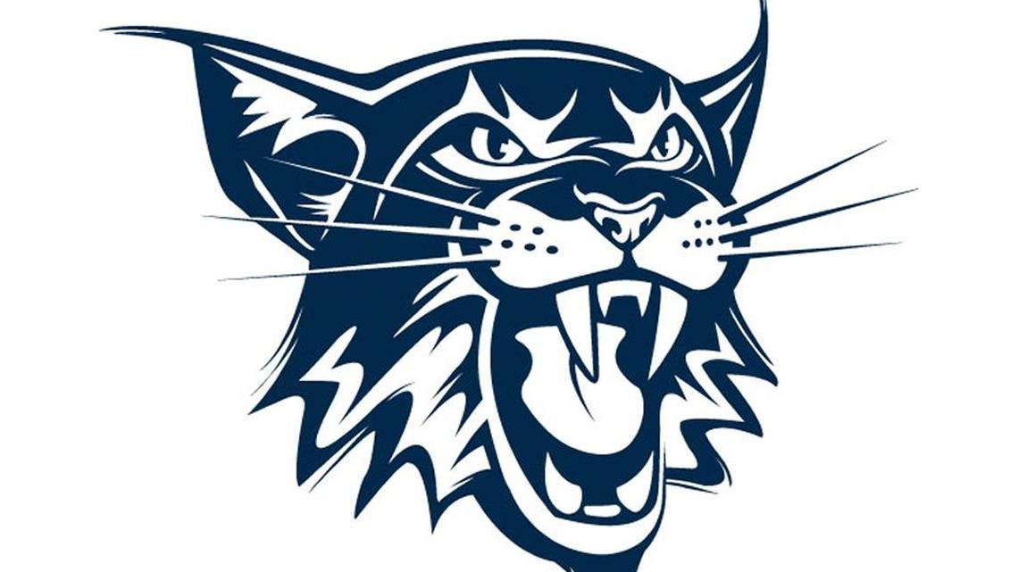 LC junior selected to softball all-state tournament team