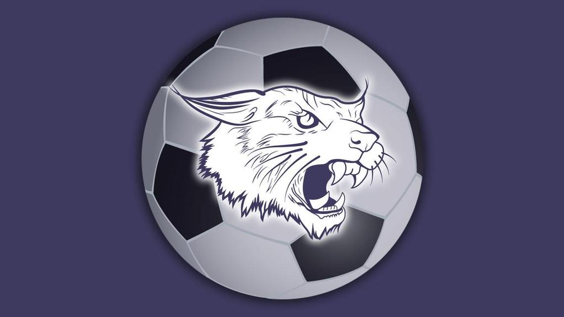 It’s their first state trip since 2011; would the Lyncs advance to the next round?