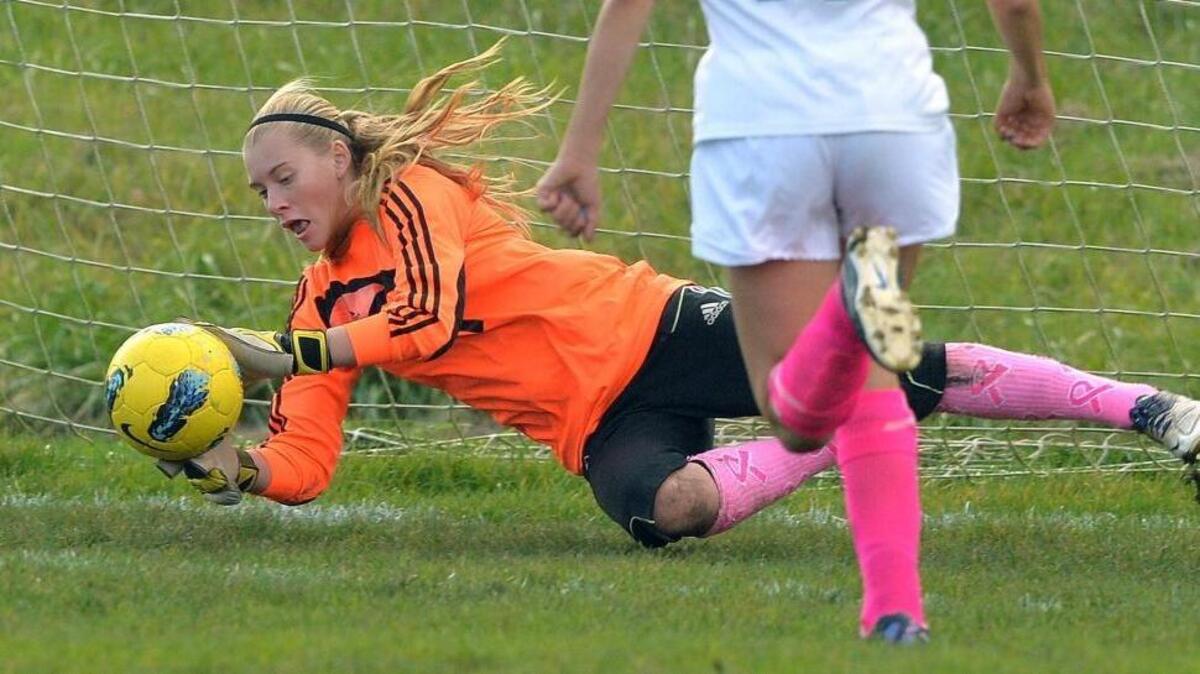 Meridian goalie Sydney Gospodinovich makes a diving save against Ferndale in 2013.