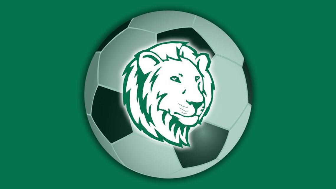 Without the efforts of this Lynden freshman, the Lions’ season may have been over