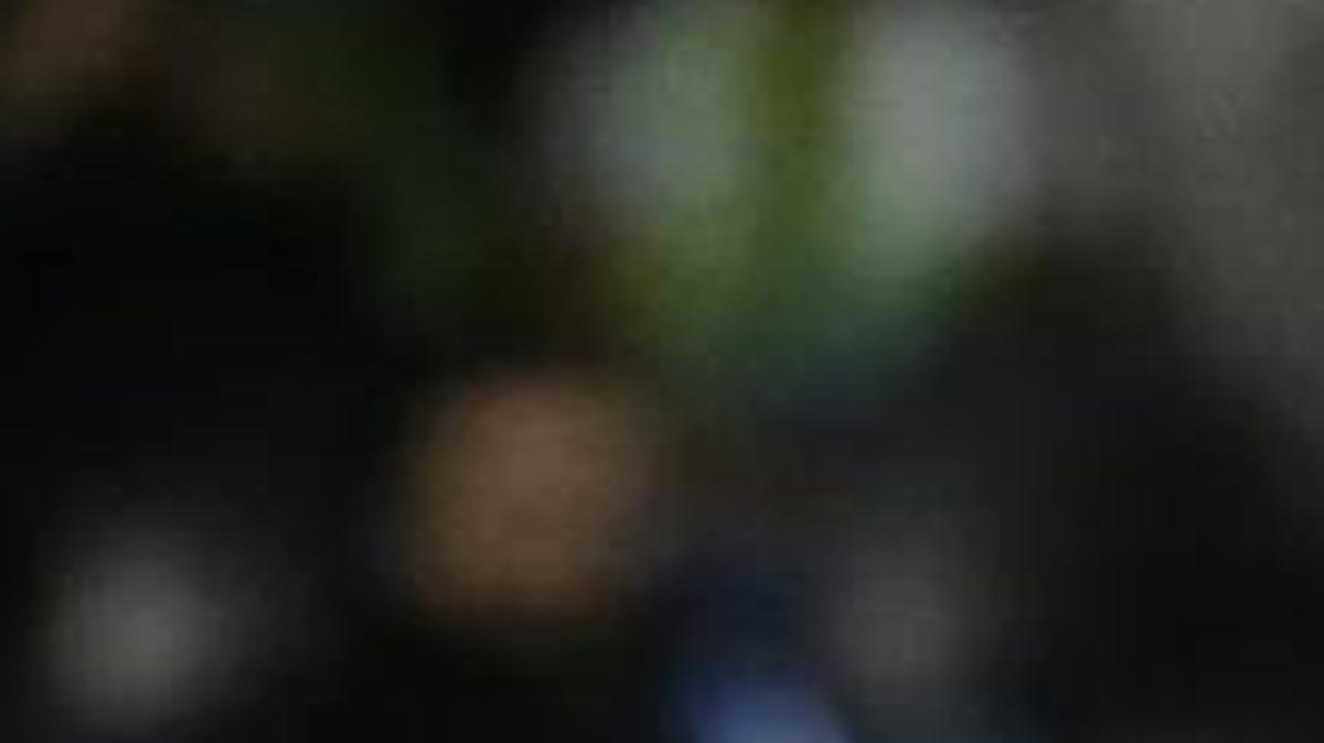 
Midfielder Marco Pappa and the Sounders can clinch a playoff berth Sunday with a win against the Houston Dynamo.

